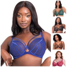 Scantilly by Curvy Kate Senses