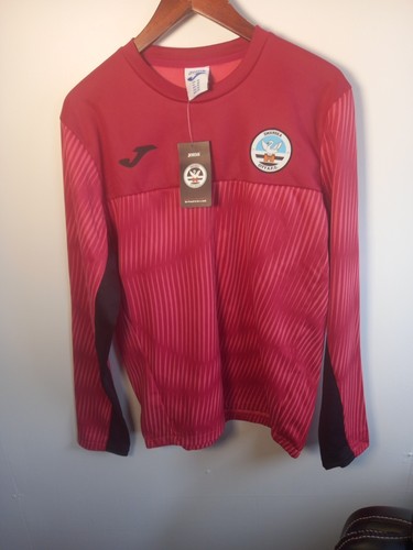 Swansea city football training - football,