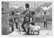 Royal Welsh (23rd) Fusiliers