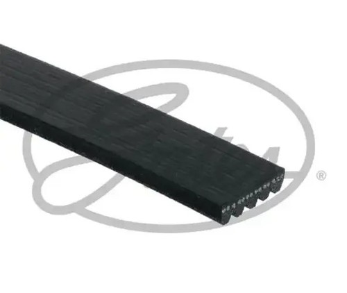 Multi ribbed belt - multi-ribbed, v-belt