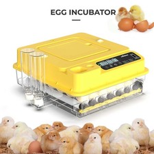 24 Eggs Fully Automatic Egg