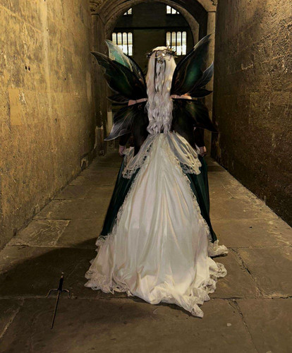 Fairy costume wings multi - fairy,