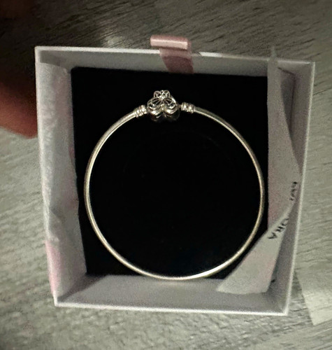 Pandora moments 925 sterling - moments,