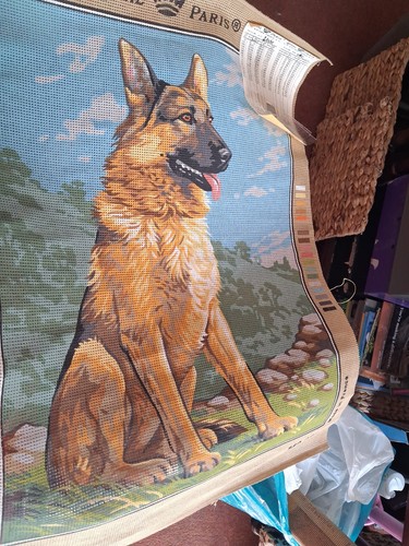 Royal paris alsatian - royal,