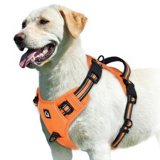 “No Pull Dog Harness
