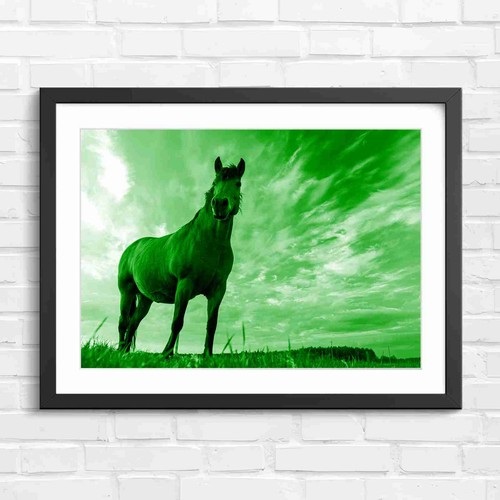 Brown horse standing green - standing,