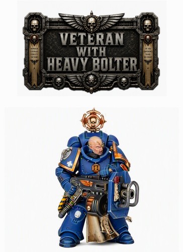 Veteran with heavy bolter - with,