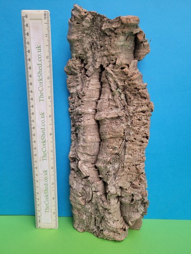 Cork bark flats basking - bark,