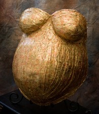  Plaster Body Casting