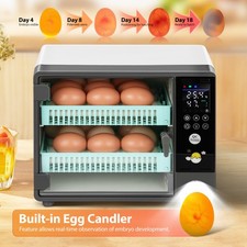 Incubators for Hatching Eggs