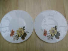 PAIR PYREX AUTMUN GLORY