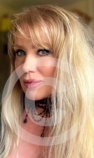 Professionally Taken Photo of