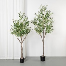 80Cm/120Cm Artificial Olive