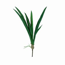 Artificial Cymbidium Leaves
