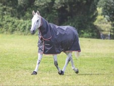 SHIRES TYPHOON 200G COMBO