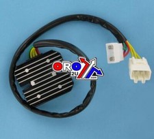 Ricks Electronics Regulator