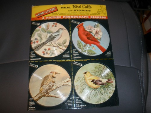 New real bird - calls, stories