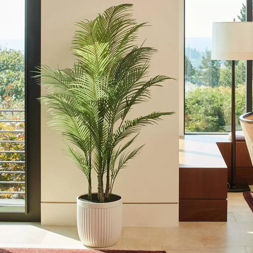 Artificial 5ft palm - 6.5ft, in