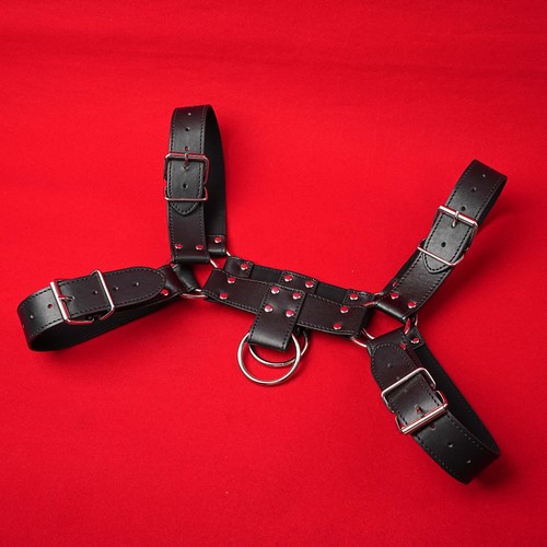 Leather chest harness - chest, body