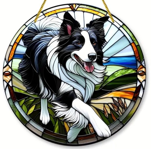 Border collie sheep - sheep, farm