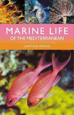 Marine life the - marine, of