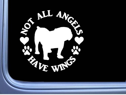 Bulldog sticker angel 345 - sticker,