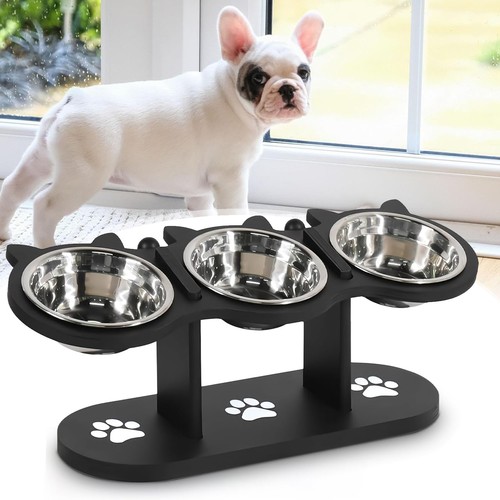 Elevated cat food - cat, bowls