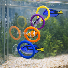 4Pcs Pet Fish Training Toys