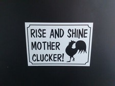 Rise and shine - shine, clucker