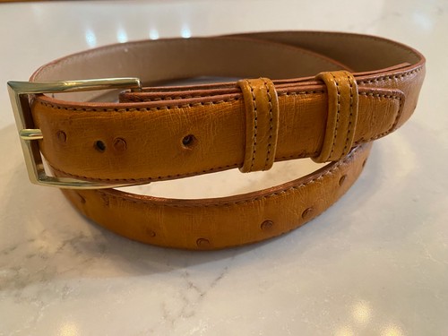 Cinch authentic oshtrich - cinch,