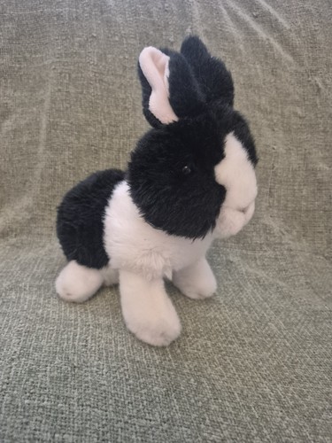 Black and white dutch - dutch, bunny