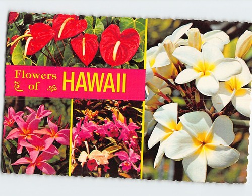 Postcard flowers hawaii usa - postcard, of