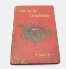 Birds' Nests, Eggs and