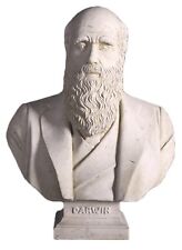 CHARLES DARWIN BUST LIFE SIZE