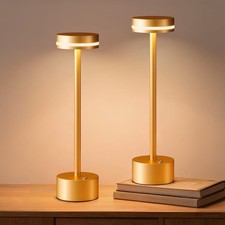 2 Pack LED Battery Operated