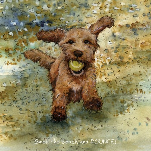 Cockapoo greeting card - cockapoo,