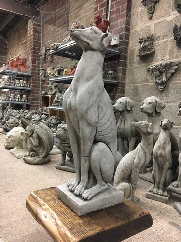 Greyhound saluki garden - greyhound/saluki,