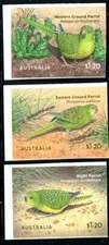 2024 Australian Ground Parrots
