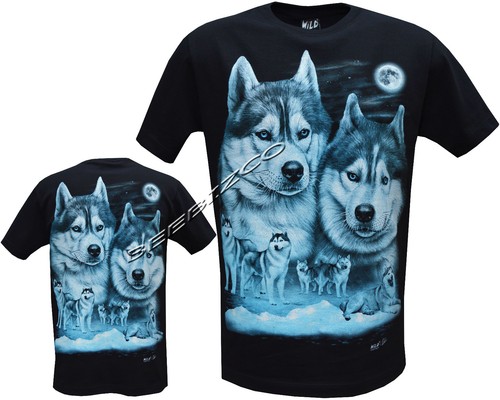 New husky dog puppy - husky,