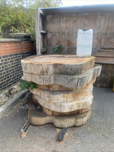 Large oak tree trunk - large,
