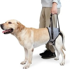 Dog Leg Strap Walking Harness