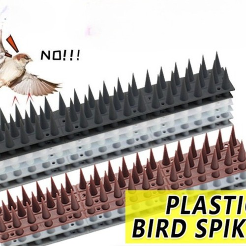 Bird spikes for pigeon - spikes,