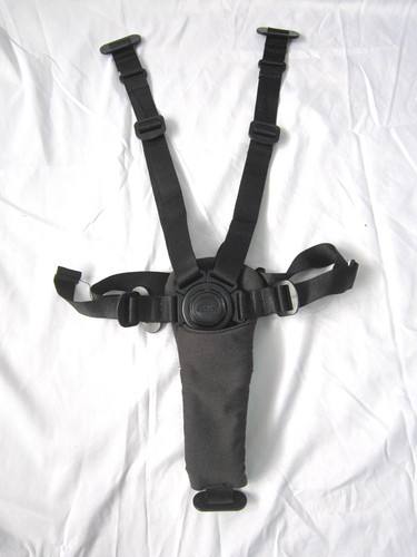 Harness mamas and - -, papas