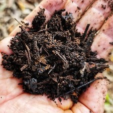 Alive soil ORGANIC Leaf mould