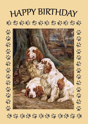 Clumber spaniel dog birthday - clumber,