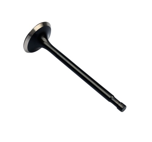 Exhaust valve for - valve,
