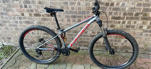 Carrera sulcata - carrera,