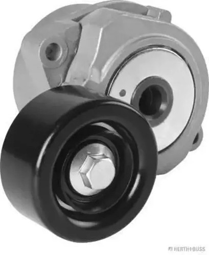 Multi ribbed belt - multi-ribbed, tensioner
