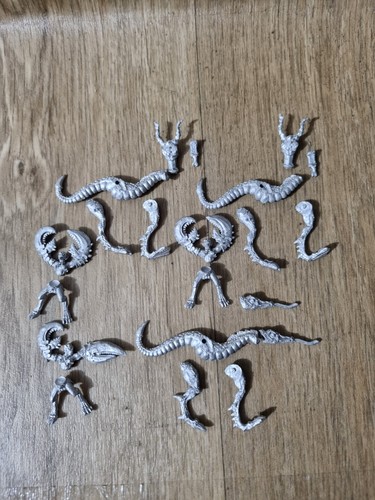 Chaos daemonettes troops - chaos,