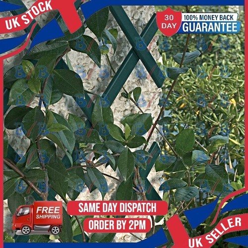 Plastic expanding garden fence - plastic,